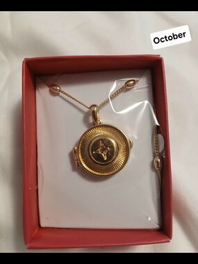 Studio 1886 October Goldtone Round Birthstone Locket Necklace with Pink Stone